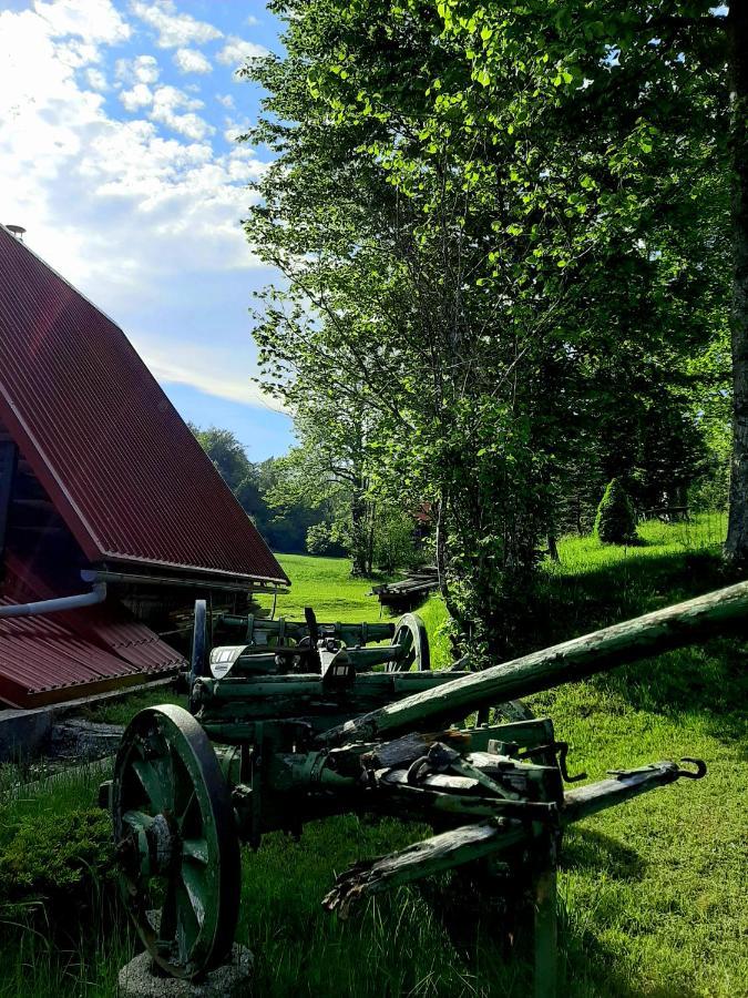 Kuca Za Odmor Gale Villa Delnice Buitenkant foto