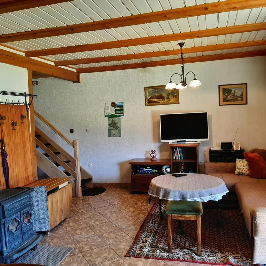 Kuca Za Odmor Gale Villa Delnice Buitenkant foto